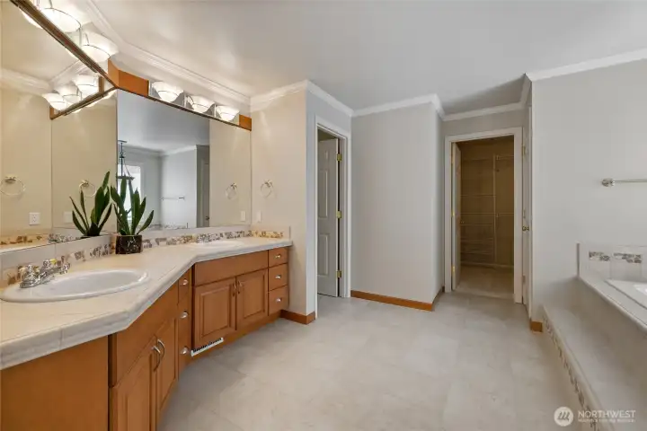 Main Bath With Walk-in Closet