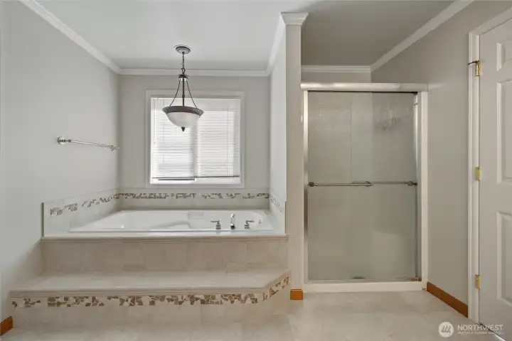 Main Bath With Separate Tub & Shower