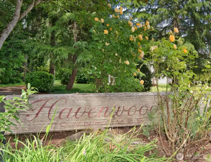 Welcome to Havenwood!