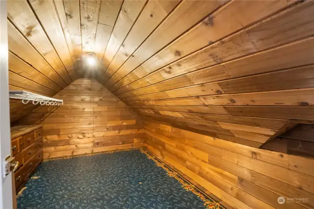 Walk in closet in this bedroom.