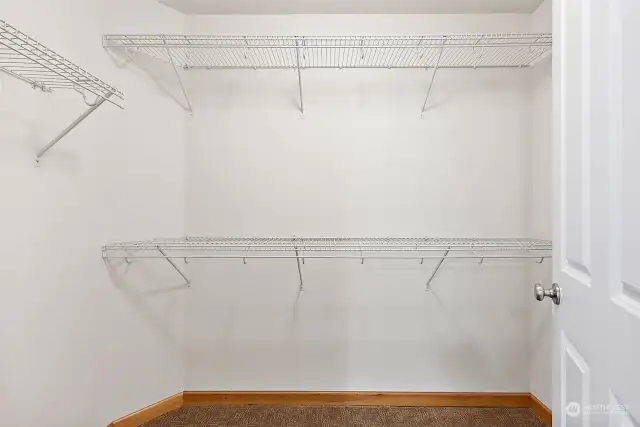 Generous walk-in closet!