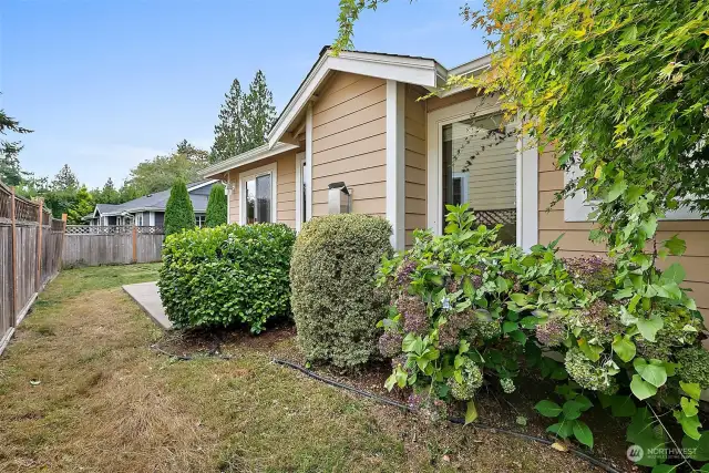 Shrubs give the home a clean look from the backyard!