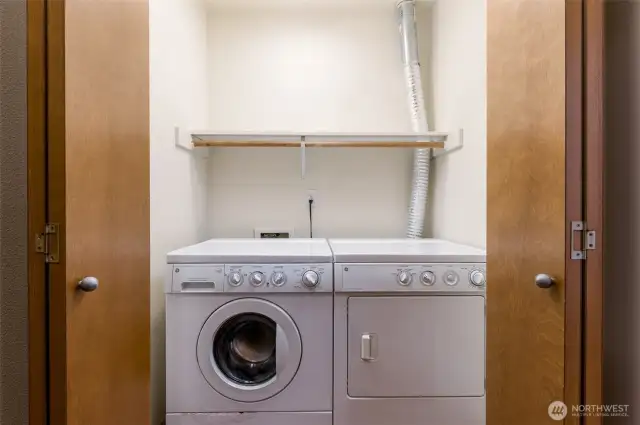 Laundry space with shelving