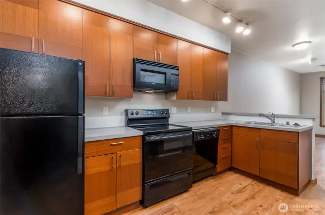 Fully equipped kitchen with dishwasher, refrigerator, oven and microwave