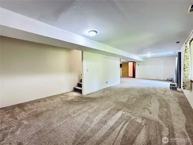 Daylight basement great room