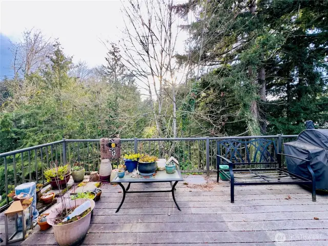 View off the deck