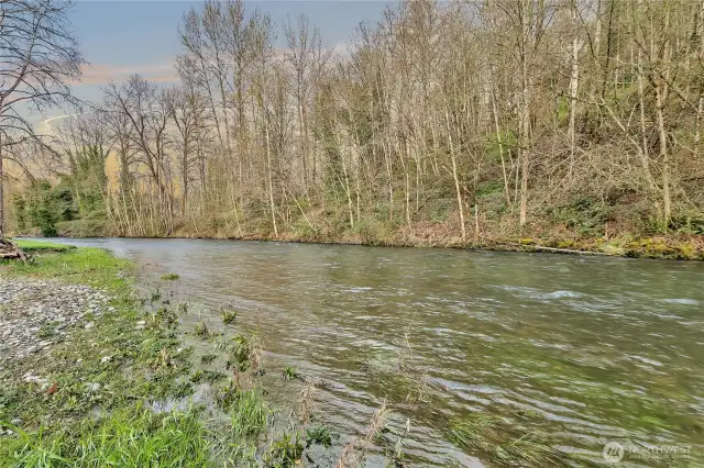 A view up river.