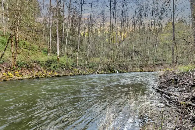 A view down river.