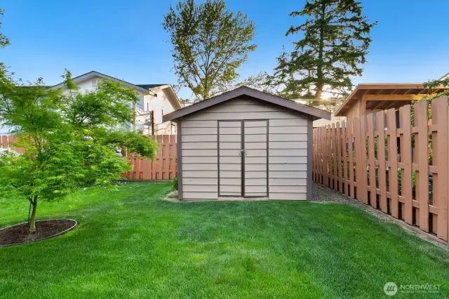 Shed for additional storage
