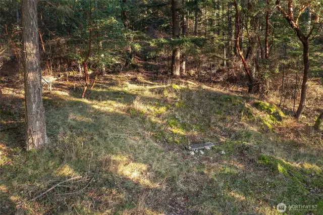 Potential building site