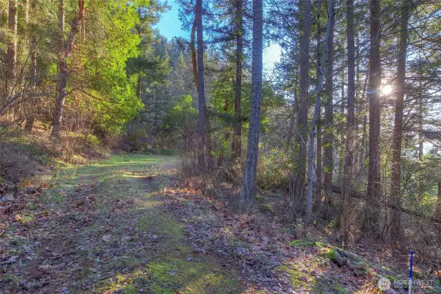 Driveway