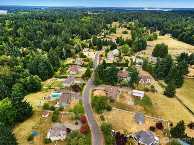 What a great neighborhood!
