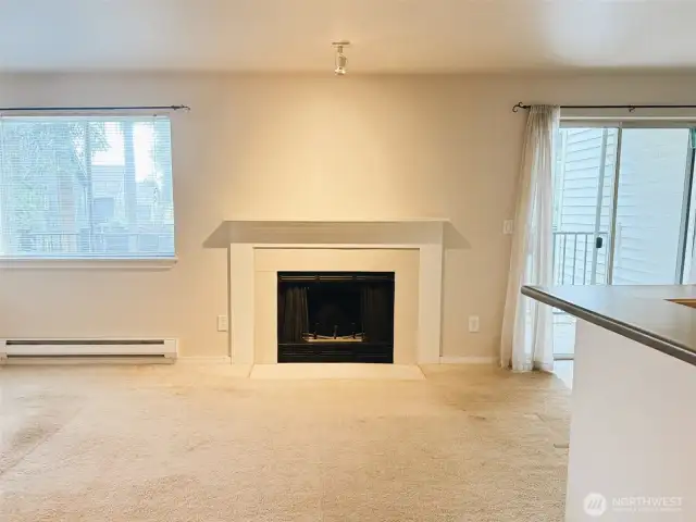 Living Room w Fireplace