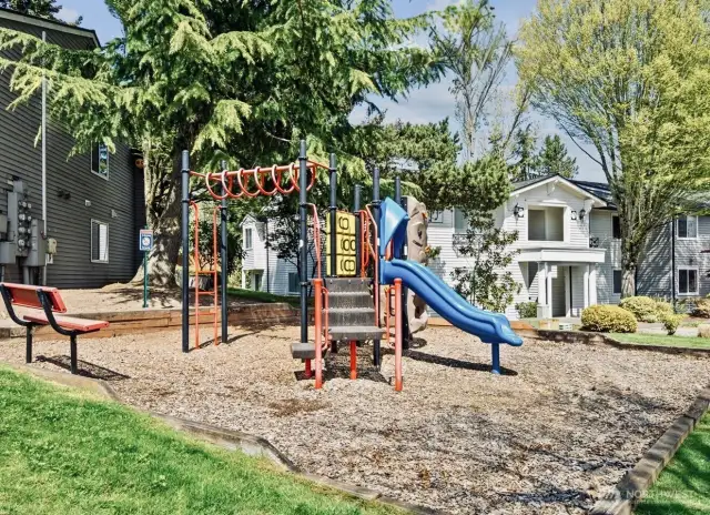 Common Area: Playground