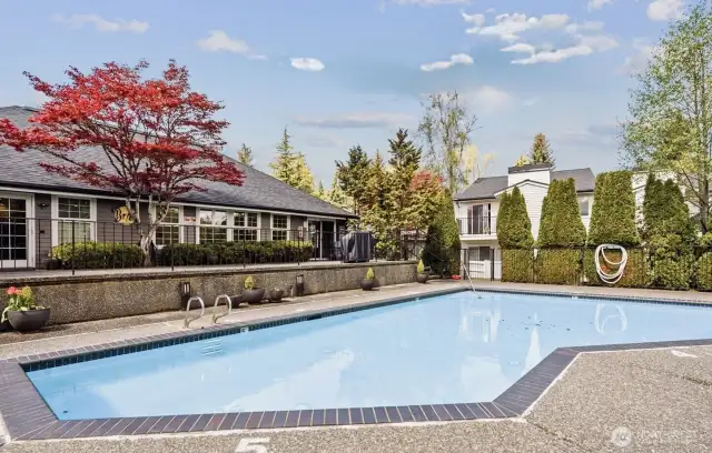 Common Area: Pool