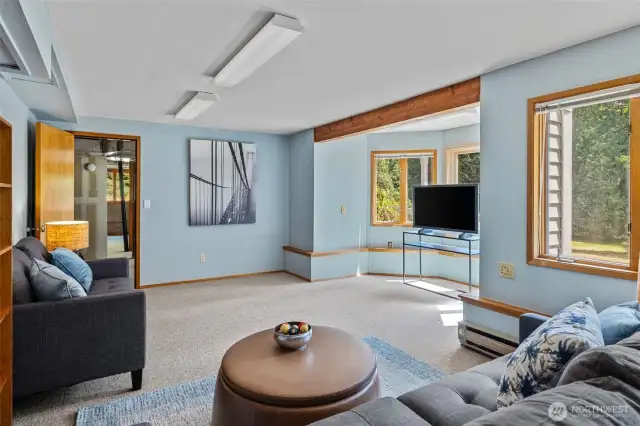 Rec Room in the Basement.