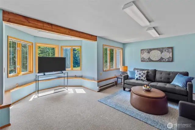 Rec Room in the Basement