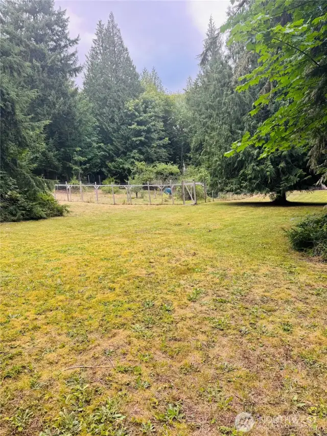 This yard IS amazing