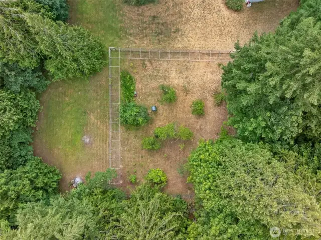 Fenced in space for fruit trees.