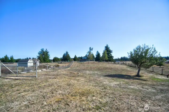 Field View