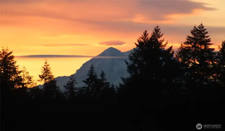 Mtn. View