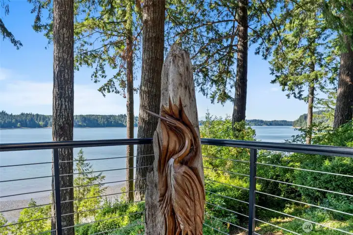 So much wildlife life to watch, including blue herons, seals, even whales!