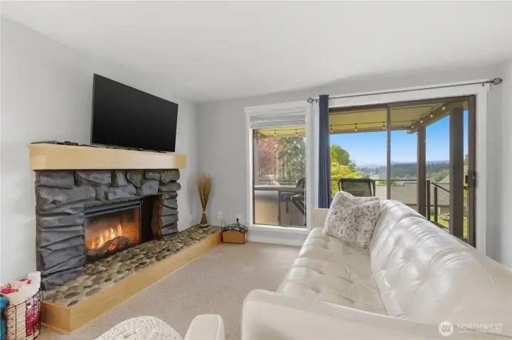 Lower-level living room offers a cozy retreat with its own fireplace—featuring an electric insert for easy use, with the option to convert back to wood burning if desired.