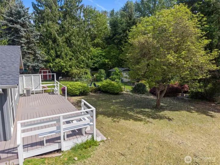 Spacious back yard awaits!