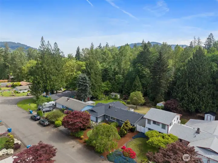 Aerial view of the neighborhood!