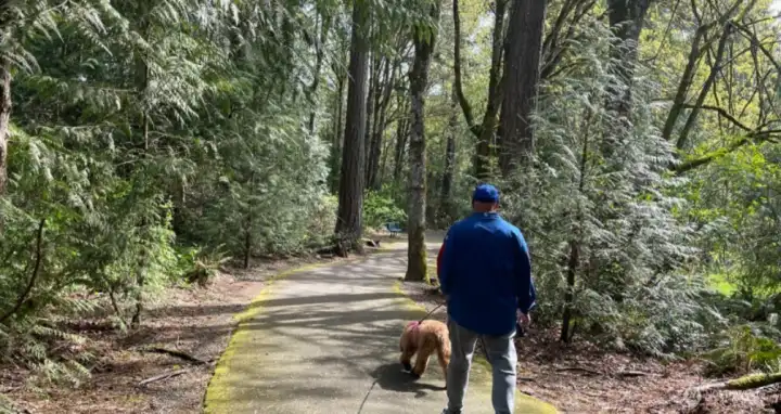 Wonderwood Park trails