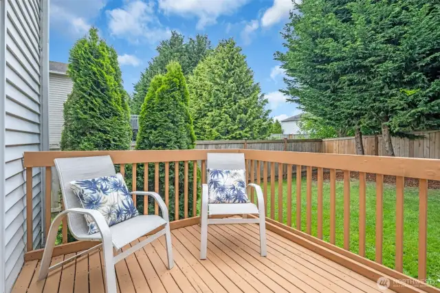 Back deck