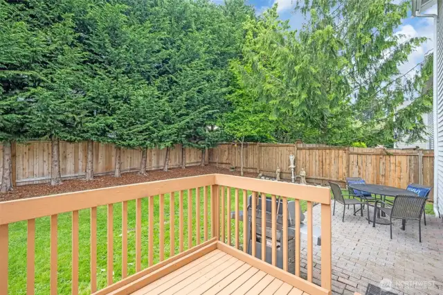 Back yard and patio room to BBQ
