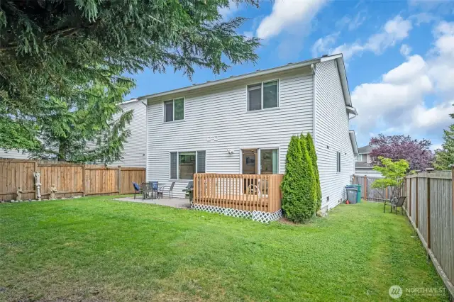 Fenced back yard