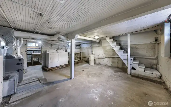 Basement with Laundry and storage