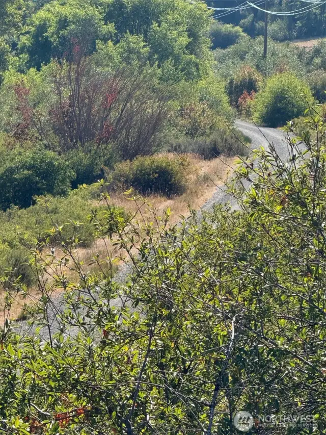 John Wayne/Iron Horse Trail, across the street!