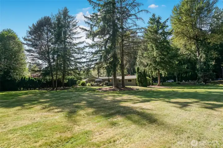 Another view of the massive side yard.