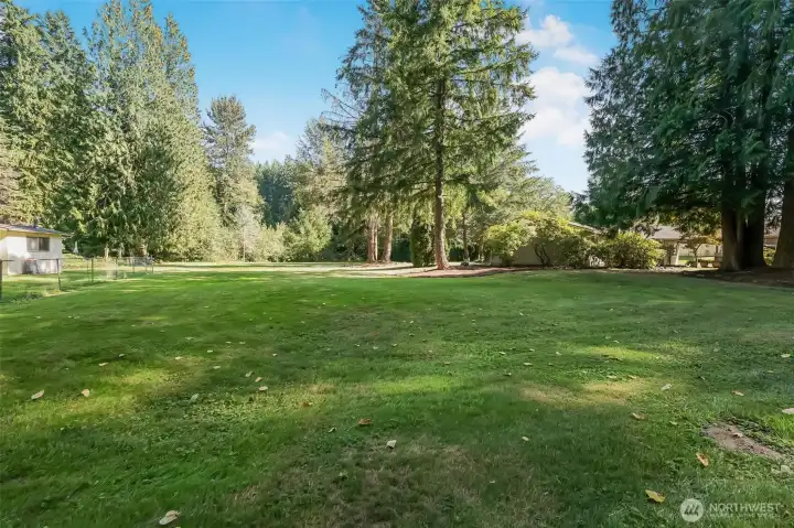 Side yard