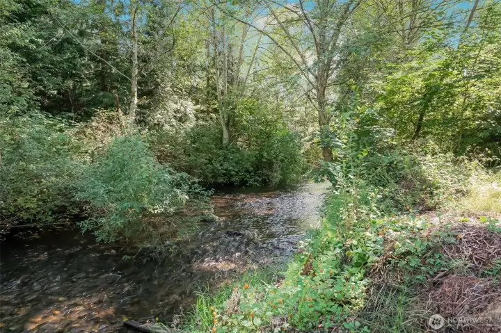 Issaquah Creek Frontage