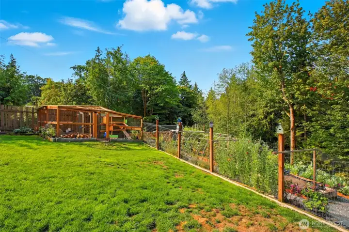 Chicken Coop and Vegetable Garden