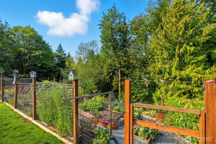 Vegetable Garden