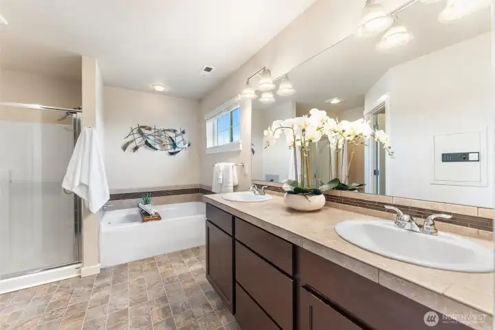 Luxurious 5 pc bath. There is even a lake view from the window of t