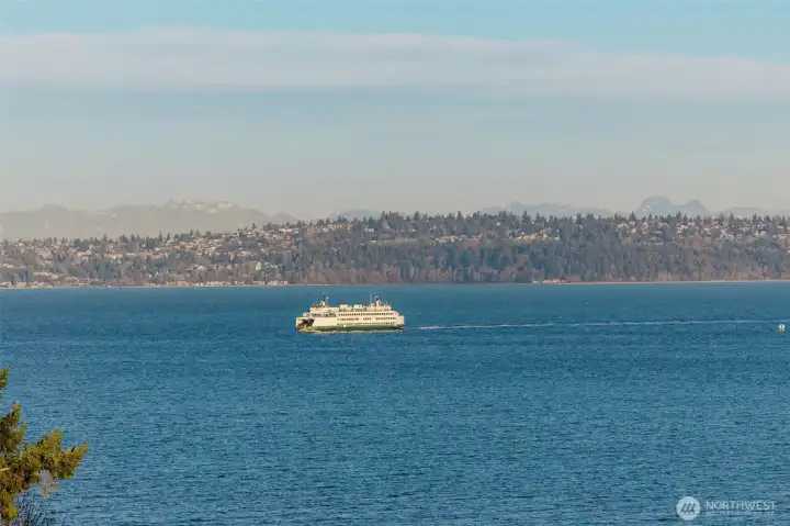 watch marine traffic