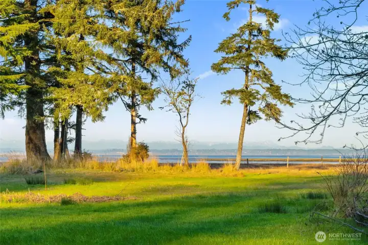 Sunrises looking toward Mt Ranier