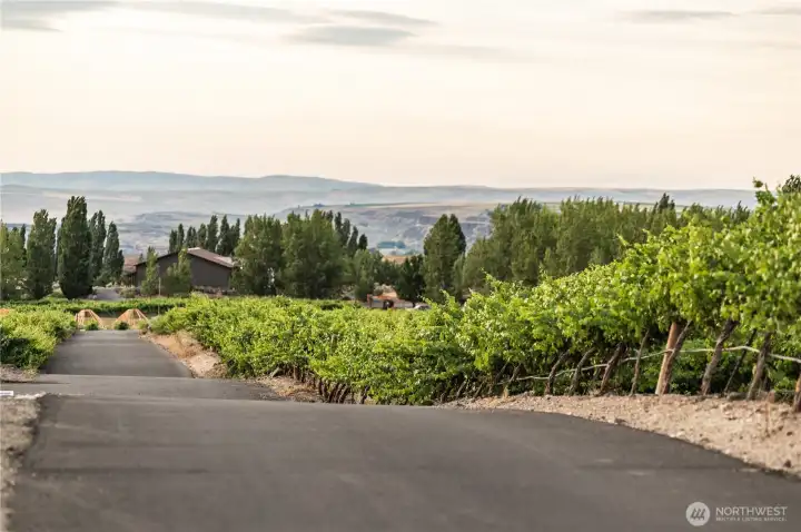 Surrounded by stunningly green orchards everywhere around you.