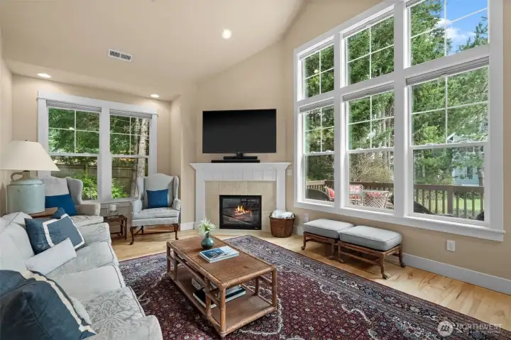 Gas fireplace along with Hunter Douglas shade provide heat and warmth