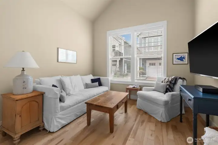 While this space is currently used as a TV room, it could easily be the third bedroom downstairs as it has a closet and plenty of space