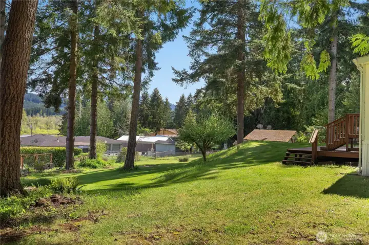 Enjoy a quiet side yard surrounded by tall evergreens and filtered lake & community views.