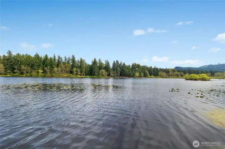 Community WF Park - Expansive lake view framed by evergreens, natural shoreline, and peaceful open sky.