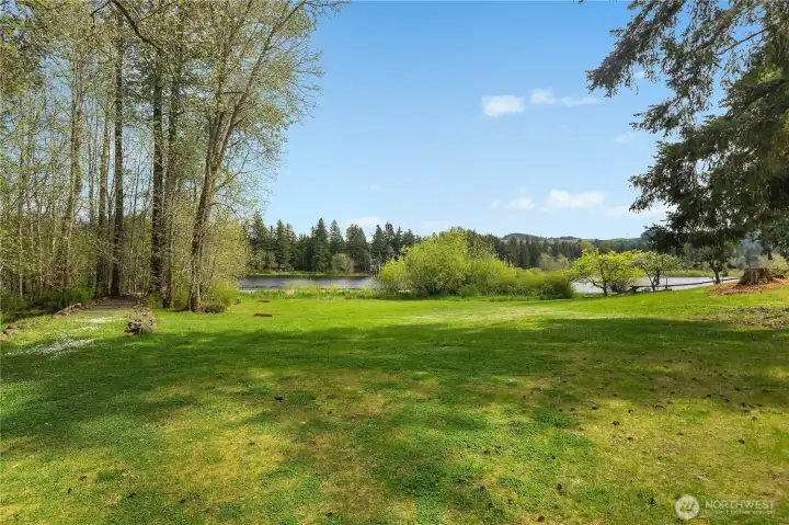 Community WF Park - Beautiful grassy common area with lake views, mature trees, and room to relax outdoors.