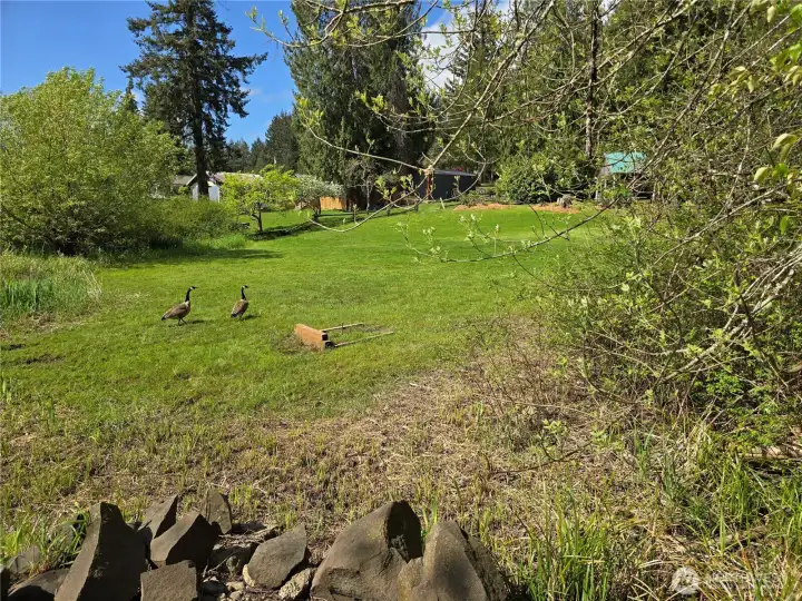 Community WF Park - Play area is set in a scenic lakefront community space surrounded by mature trees.
